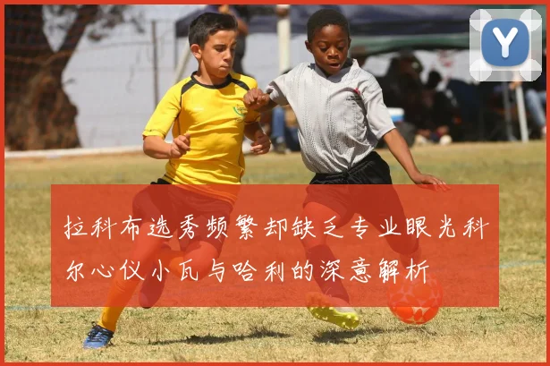 拉科布选秀频繁却缺乏专业眼光科尔心仪小瓦与哈利的深意解析